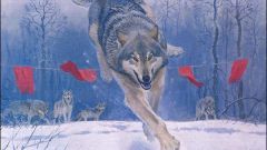 Почему волки боятся флажков
