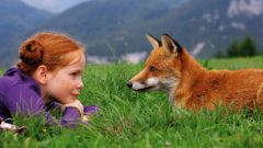 Как приручить лису