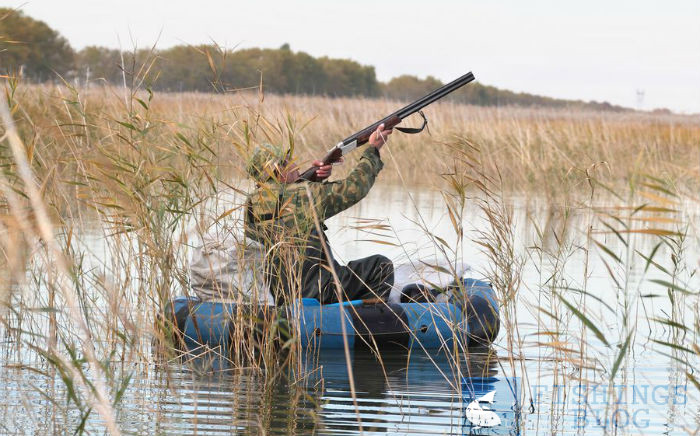 стрельба по уткам