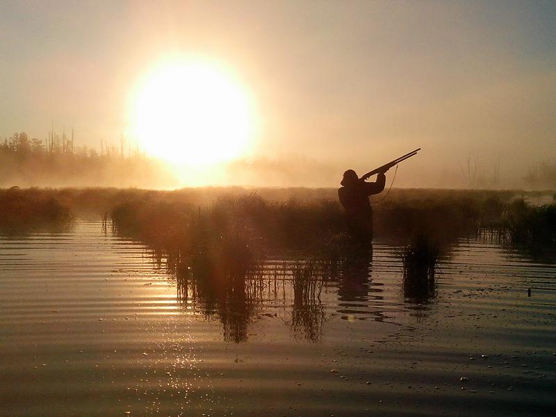 Стрельба по утиной стае на перелете
