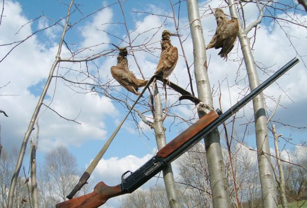 Как охотиться на вальдшнепа весной