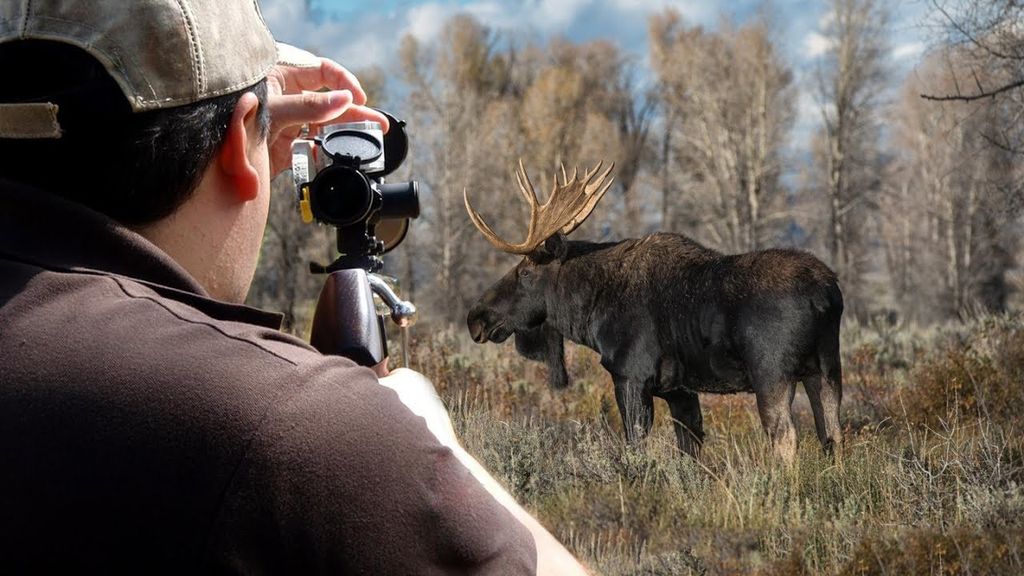 охота на лося