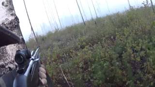 Охота на лося на реву 2016(, 2016-09-27T18:50:13.000Z)