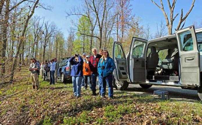 Болотно-луговая и полевая дичь
