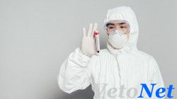 Китайские ученые нашли антитело, универсальное для всех штаммов коронавируса