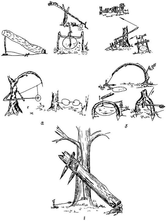 Как охотиться или добыть дичь подручными средствами