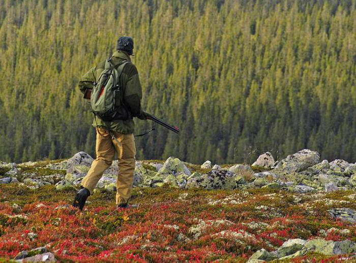 охота на глухаря тетерева