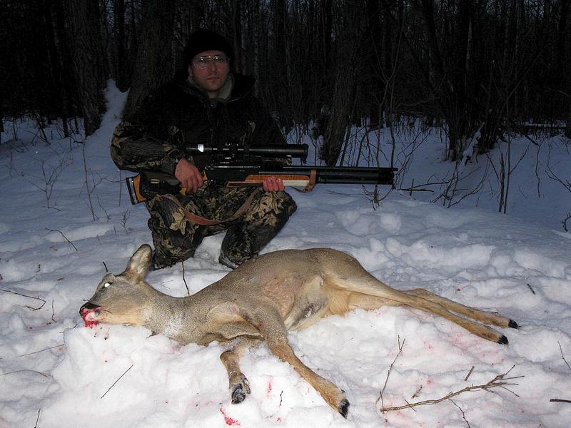 Добытая ночью косуля