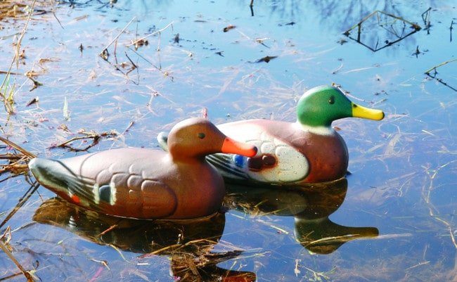 Резиновые чучела