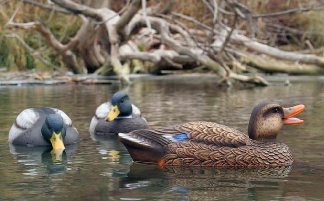 Чучела для утки