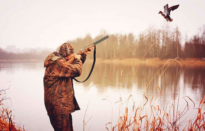 Охота на утку