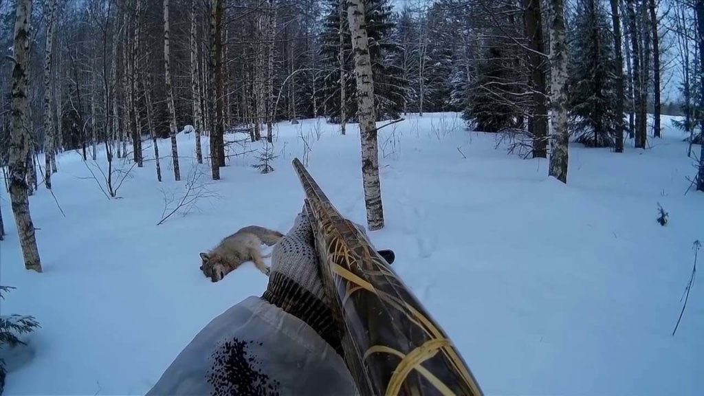 охота на волков