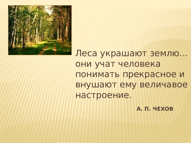 Леса украшают землю. они учат человека понимать прекрасное и внушают ему величавое настроение. А. П. Чехов