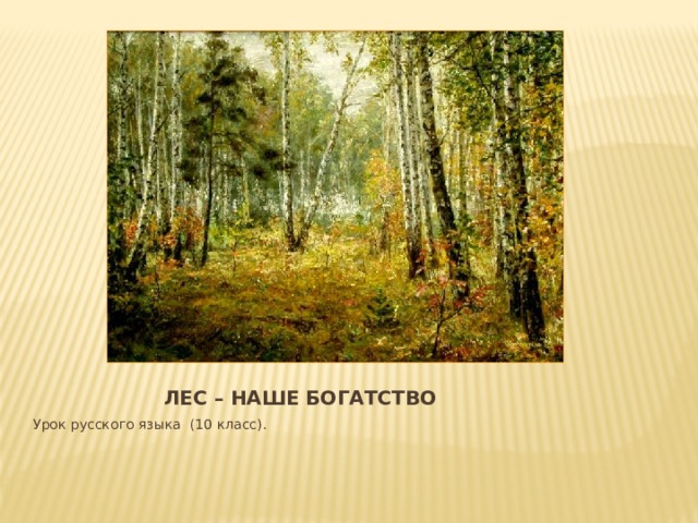 Лес – наше богатство Урок русского языка (10 класс).