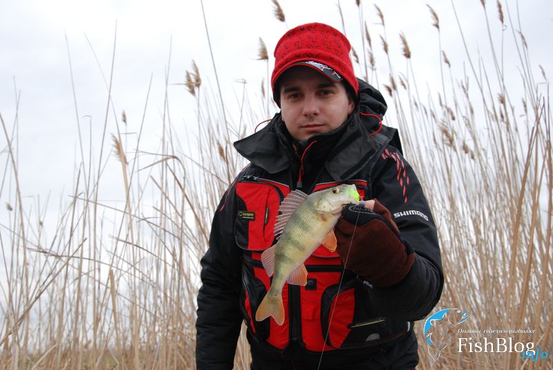 Окунь на Gambler TZ