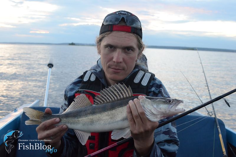 Судак на Gambler TZ