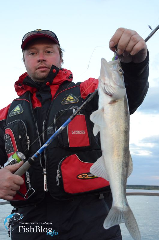 Судак на Gambler TZ