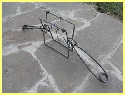 Охота на белку капканами