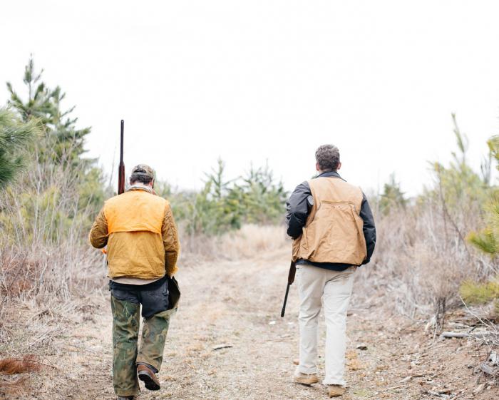 патрон на зайца зимой