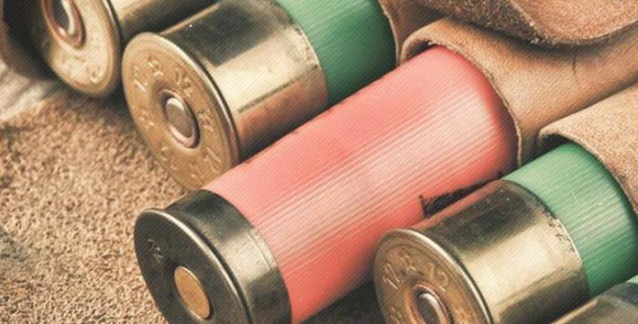 какие патроны на зайца