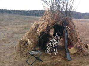 Охота с подхода