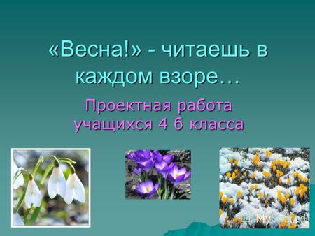 «Весна!» - читаешь в каждом взоре… Проектная работа учащихся 4 б класса.