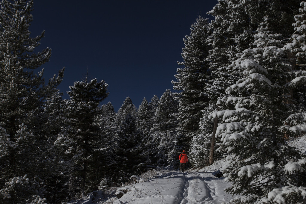 опытный охотник рекомендует - как выжить в зимнем лесу