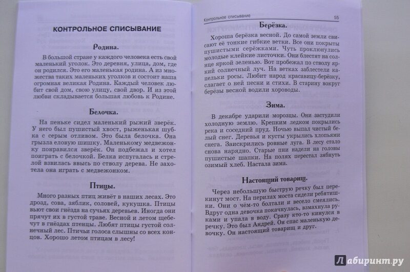 Диктанты по русскому языку на тему зима (2 класс)