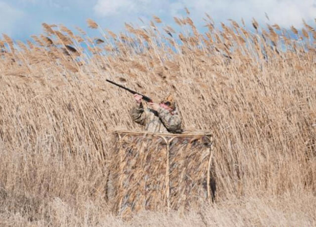 Охота из засидки