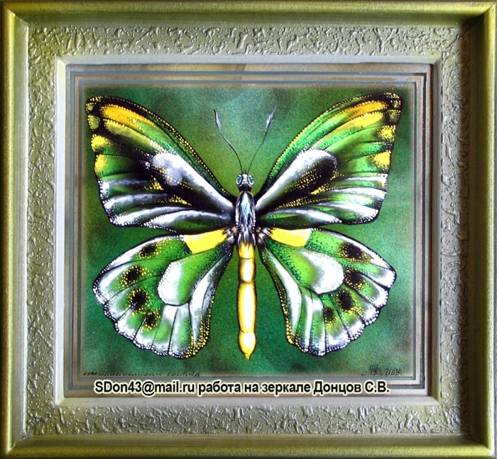 Бабочка Павлиноглазка рыжая - картина на зеркале