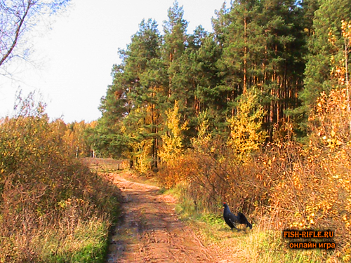 охота на глухаря, тетерева, току