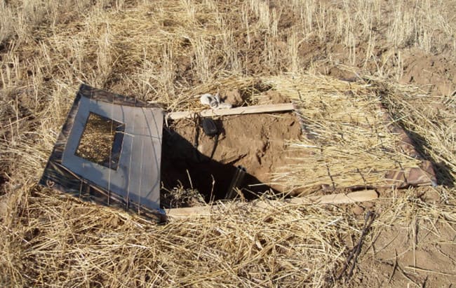 засидка для гуся