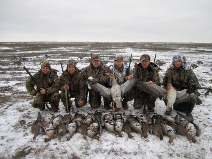 охота на гуся