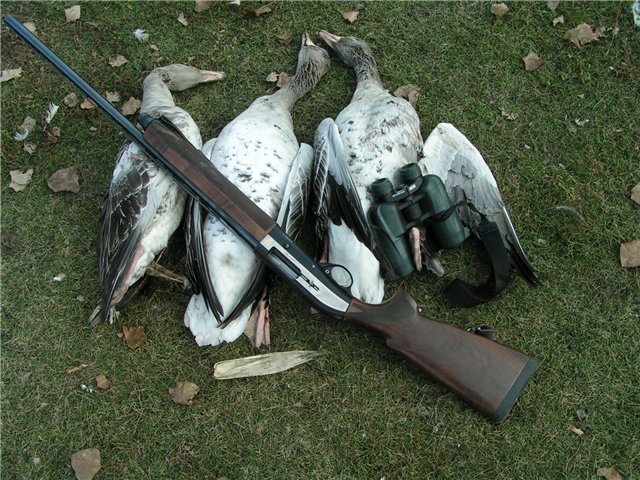 оружие для охоты на гуся