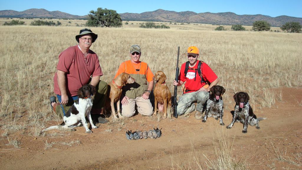 Охота на перепелок в Аризоне.