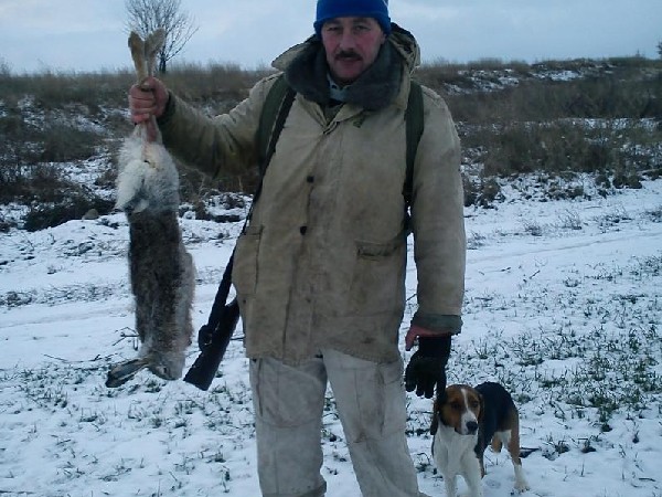 Фотогалерея охота с эстонской гончей фото - 5