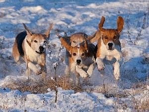 Несколько слов напоследок