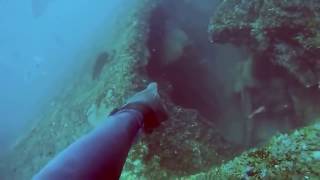 РЫБА ЖЕСТКО ИЗДЕВАЕТСЯ НАД ПОДВОДНЫМ ОХОТНИКОМ(Теги: охота на медведя, охота на кабана, охота на зайца, охота на лося, охота на волков, охота на. 2017-01-09T08:54:00.000Z)