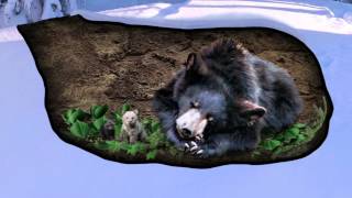 Спячка. Популярная наука с Анной Урманцевой.(Официальный сайт http://www.mozgovoyshturm.ru/ Лето прошло, мы вспоминаем прошедший отдых и с тяжелым вздохом пролистыва. 2014-10-06T19:43:59.000Z)