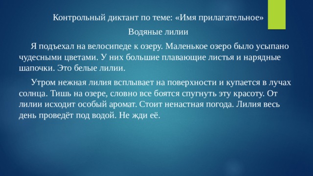 Контрольный диктант по теме: «Имя прилагательное» Водяные лилии Я подъехал на велосипеде к озеру. Маленькое озеро было усыпано чудесными цветами. У них большие плавающие листья и нарядные шапочки. Это белые лилии. Утром нежная лилия всплывает на поверхности и купается в лучах солнца. Тишь на озере, словно все боятся спугнуть эту красоту. От лилии исходит особый аромат. Стоит ненастная погода. Лилия весь день проведёт под водой. Не жди её.
