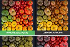 Что представляет собой тест на цветоощущение и как проводится?