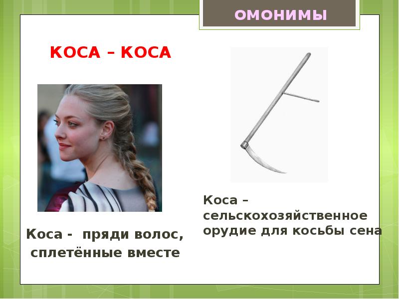 Омографы, омофоны, омонимы. Фразеологизм, слайд №6