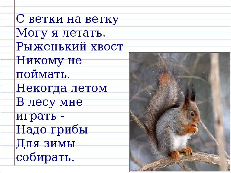 Омографы, омофоны, омонимы. Фразеологизм, слайд №14