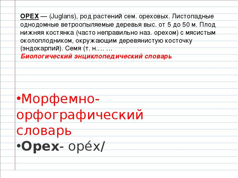 Омографы, омофоны, омонимы. Фразеологизм, слайд №18