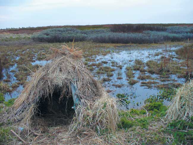 охота на уток