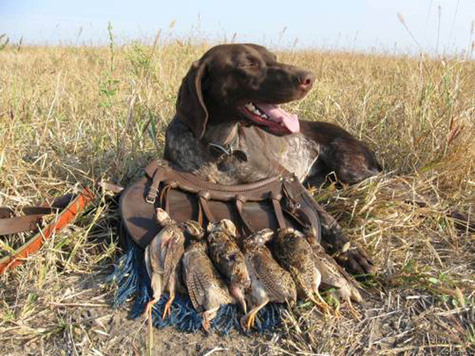 фото: Дьяченко Олега