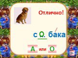 с . бака