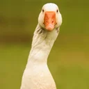 Аватар сообщества "Реальные истории из жизни"