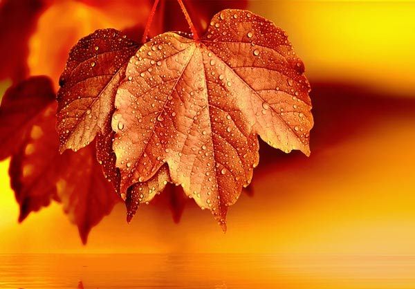 сочинение народные приметы 4 класс