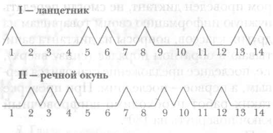 Графический диктант как средство текущей проверки знаний